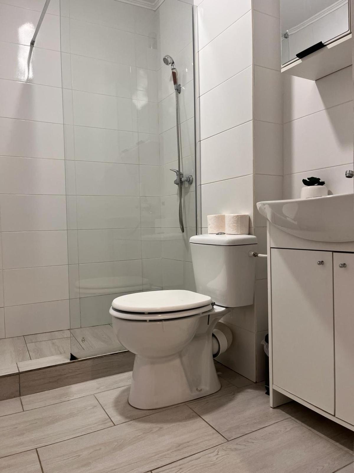 White & Silver Luxury Apartament Craiova Exterior foto
