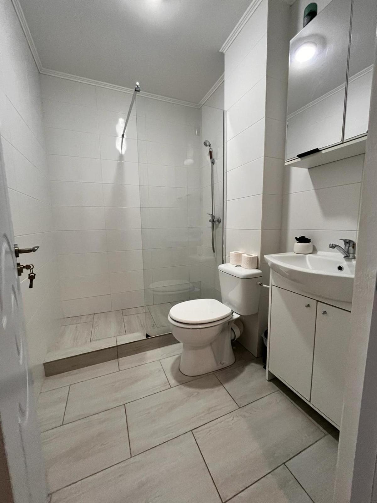 White & Silver Luxury Apartament Craiova Exterior foto